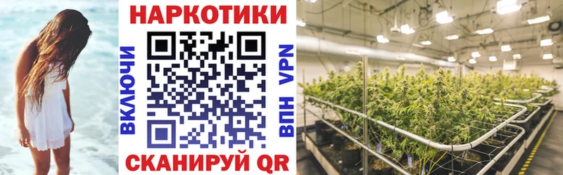 Купить наркотики сайты Осташков Cocaine  Конопля  МЕФ  ГАШИШ 