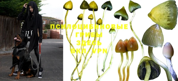 герыч Володарск