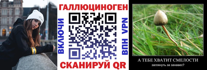 Псилоцибиновые грибы MAGIC MUSHROOMS  купить наркотики цена  Осташков 